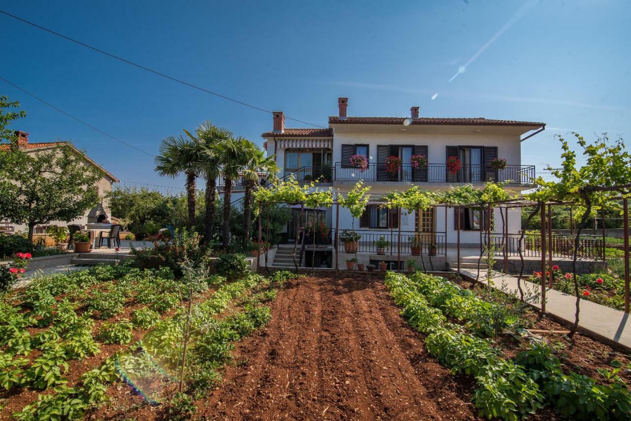 Apartman Ana Bajcici Exterior photo
